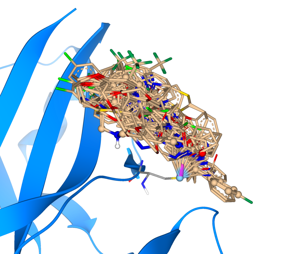 Example of a virtual screening run with covalent docking.