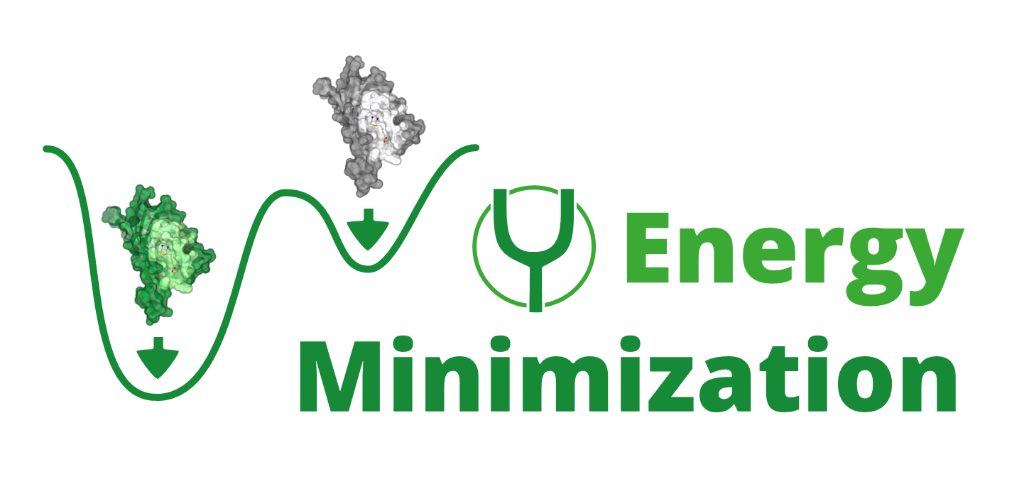 Energy minimization of structures to refine their 3D coordinates based on energy minima.